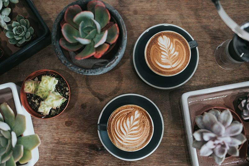 coffee